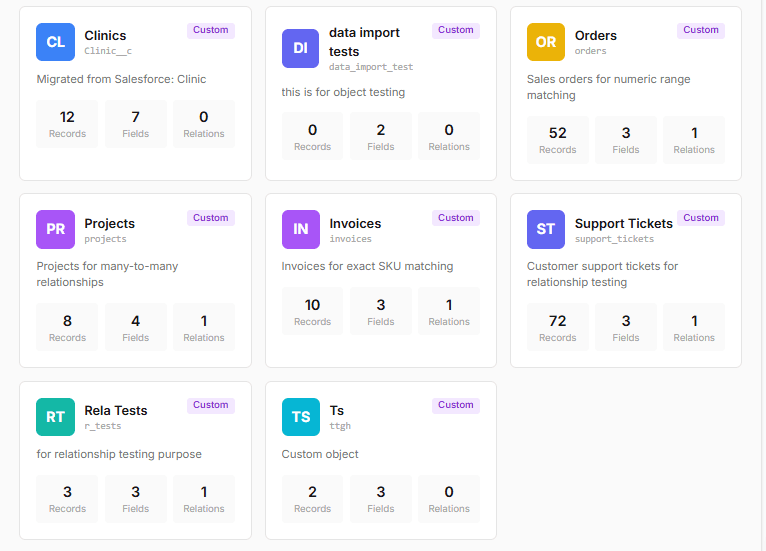 Custom objects grid showing different object types